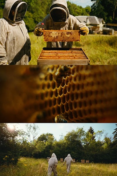 The Ancient Hum: Bugonia's Cycle