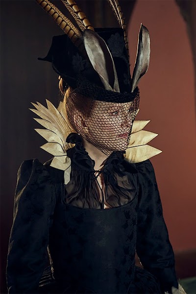 A Hive Under Scrutiny